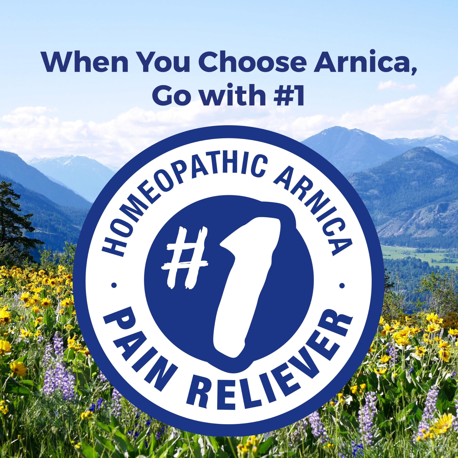 Boiron Arnica Montana 30X Homeopathic Medicine for Relief from Muscle Pain, Muscle Stiffness, Swelling from Injury, and Discoloration from Bruises - 3 Count (240 Pellets) Boiron uk supplements