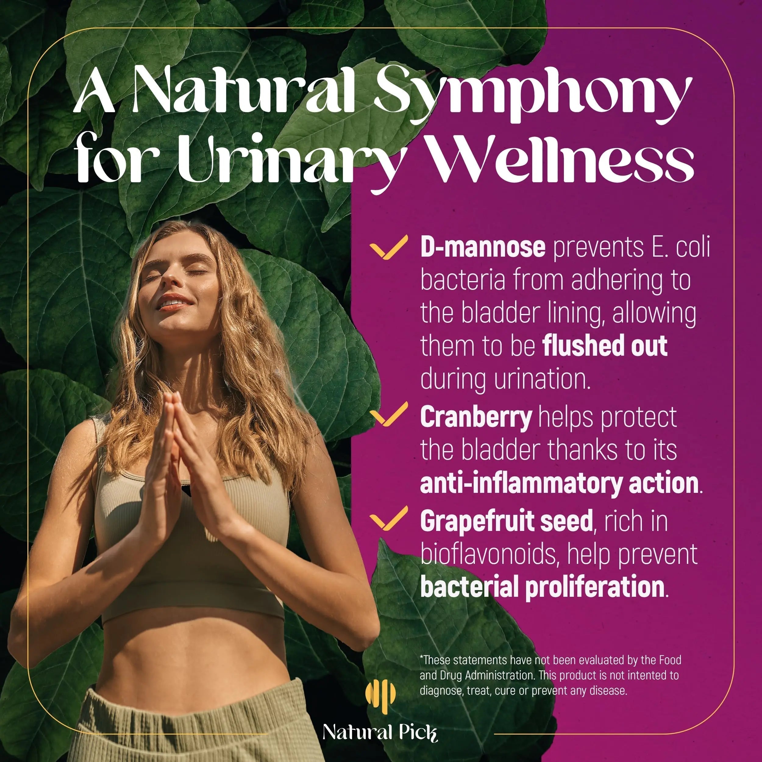 Natural Pick D-Mannose - Cranberry & Grapefruit – Cranberry Pills, UTI Treatment and Fast Relief for Women | Urinary Tract & Bladder Support. 90 Vegan Capsules, D mannose Supplements for Women Natural Pick uk supplements