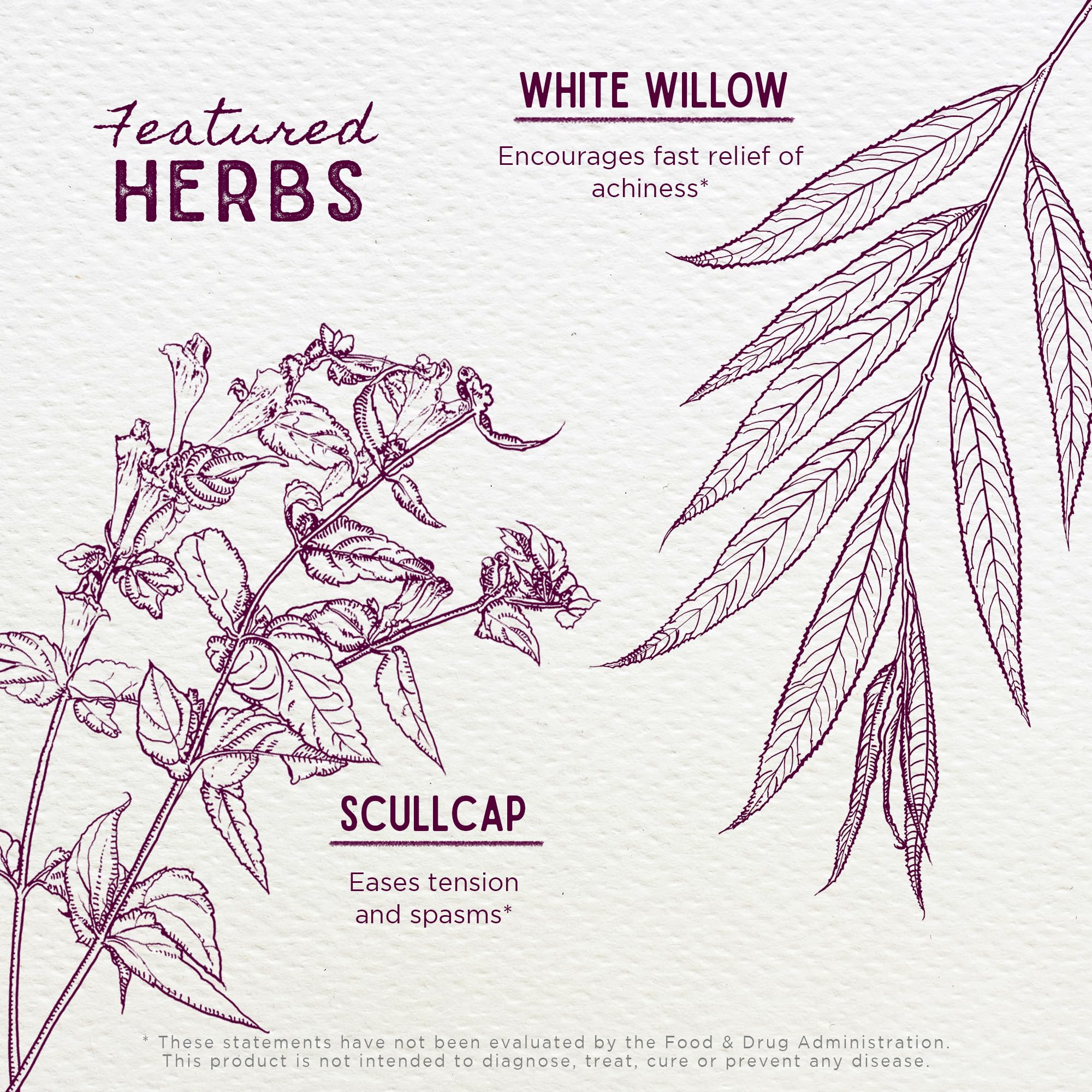 WishGarden Herbs Cranial Comfort - Plant-Based Herbal Supplement with White Willow Bark Extract, Lavender & Scullcap Supports Release of Head, Neck & Shoulders Tension, Stress & Muscle Tension, 4oz WishGarden uk supplements