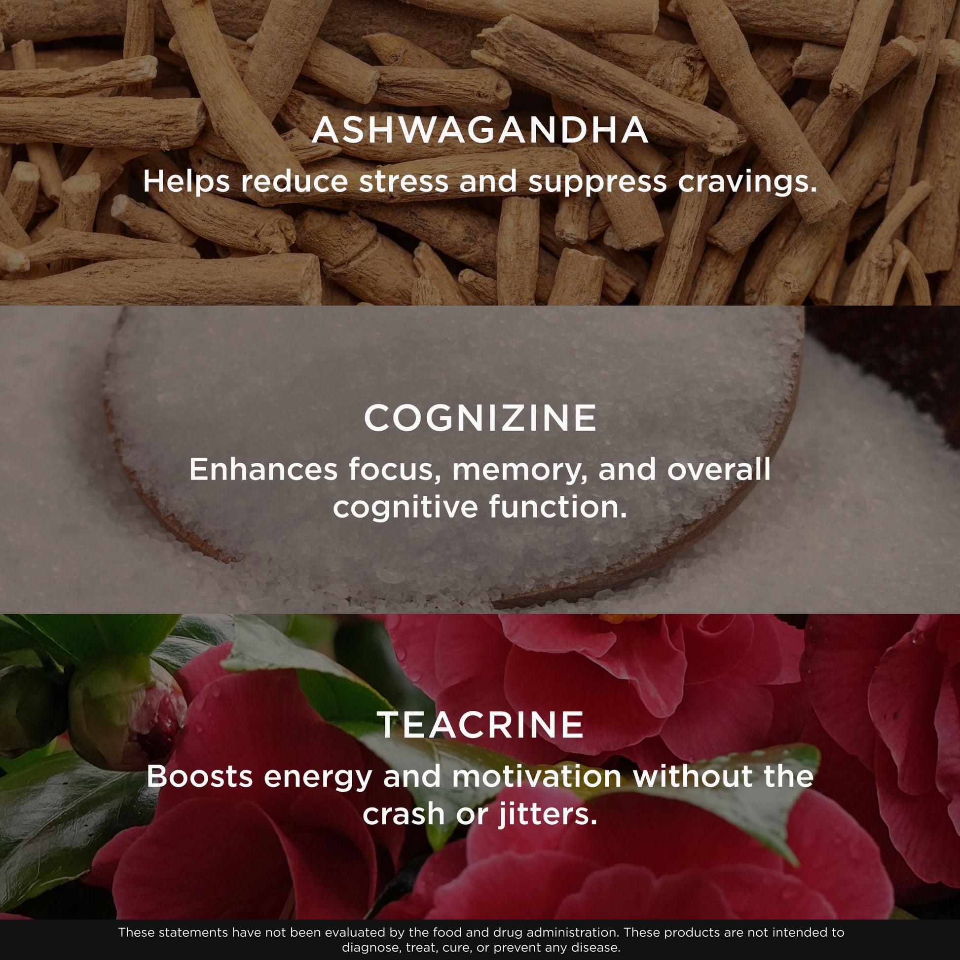 Genius Thermogenic Fat Burner, 60 Diet Veggie Pills - Weight Loss & Metabolism Supplement, Appetite Suppressant & Energy Booster - Caffeine-Free Nootropic Focus & Brain Boost - Ashwagandha & TeaCrine The Genius Brand uk supplements
