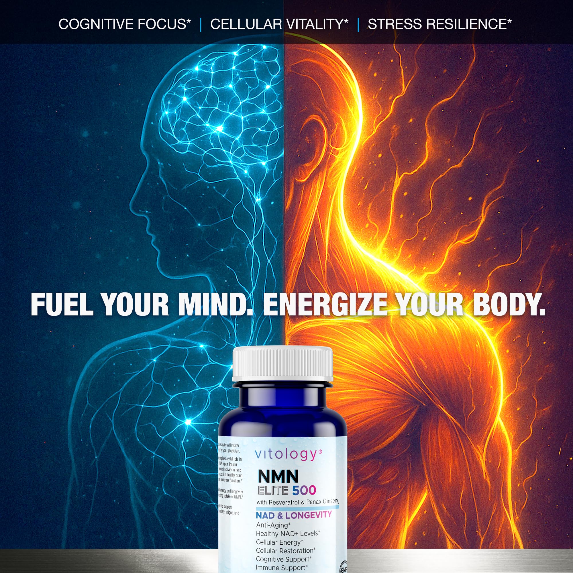 Vitology NMN Elite 500 – NMN 500mg, Resveratrol 200mg, Panax Ginseng 300mg – NAD+ Cellular Energy & Longevity Support Supplement – Focus, Vitality & Anti-Aging Formula – Non-GMO, Vegan Capsules Vitology uk supplements