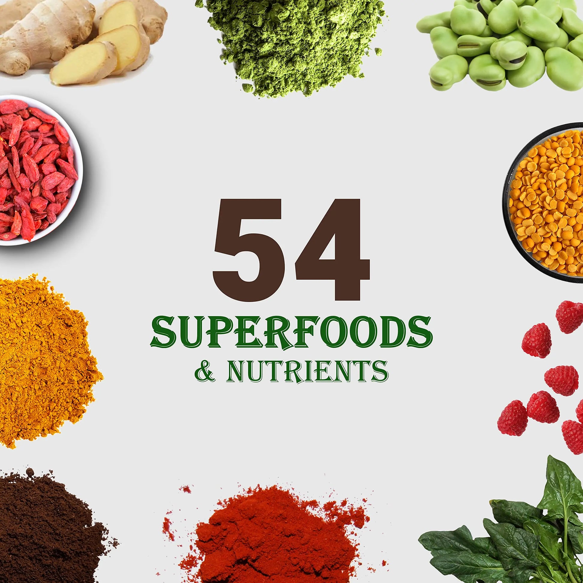UpNourish Chocolate Vegan Protein Powder 54 Superfoods Powder,1.5 Billion CFU Probiotics 21g Plant Based Protein,No Sugar No Dairy No GMO Dairy Free,Meal Replacement Shake Keto-Friendly Low-Carb Diet,15 Servings UpNourish uk supplements