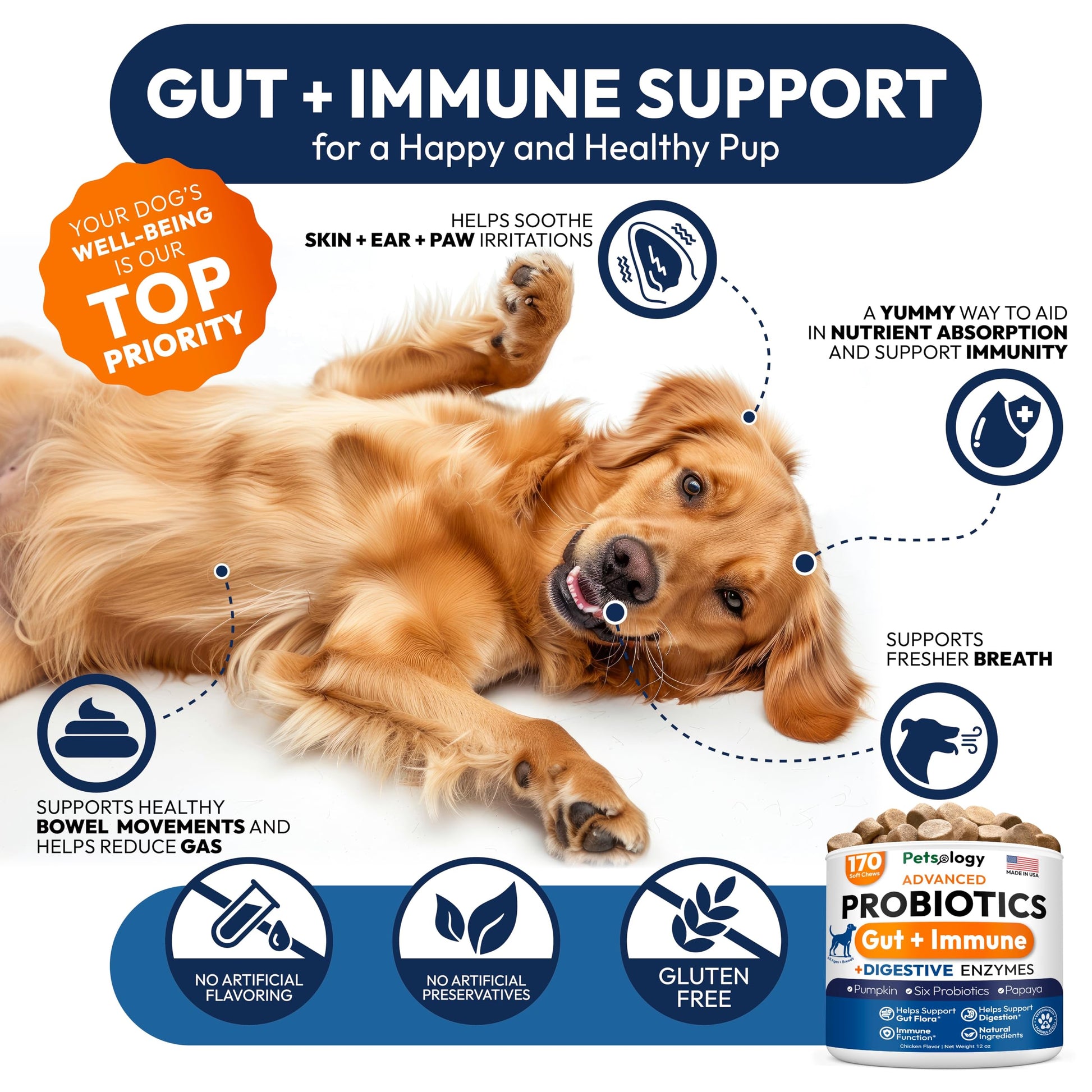 Probiotics for Dogs - 170 Dog Probiotics Chews - Digestive Enzymes & Prebiotics - Support Gut Health, Diarrhea, Gas & Constipation Relief - Itchy Skin, Allergies, Yeast Balance - Advanced Supplement Petsology uk supplements