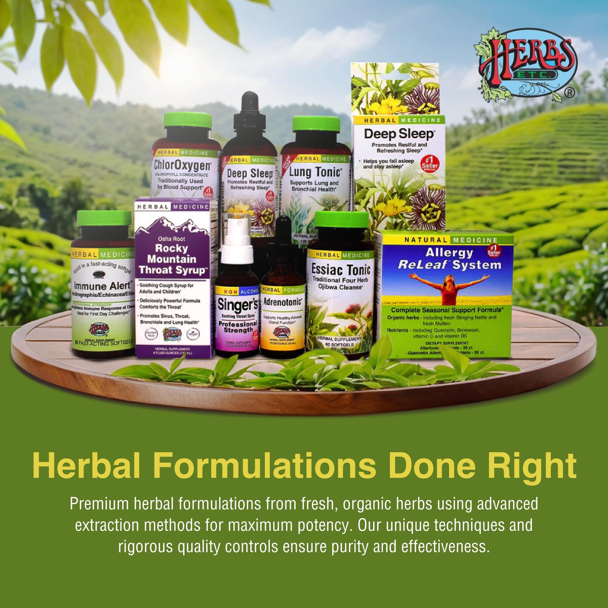 Herbs Etc. Loviral - Lung Health Supplement for Respiratory Defense & Support - Herbal Supplement with Lomatium, Pelargonium & OSHA - Gluten-Free - 60 Softgels (60 Servings) Herbs Etc. uk supplements
