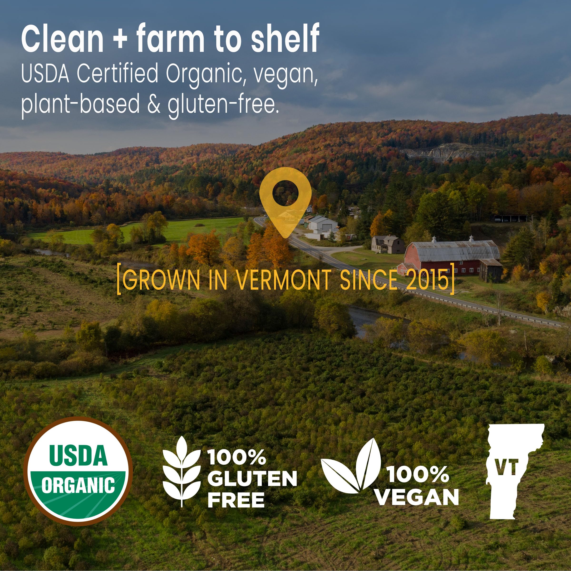 Sunsoil A World of Calm Organic Gummies, USDA Certified Organic, No Glucose, Vegan, Gluten-Free, Plant-Based Sunsoil Supplements uk supplements