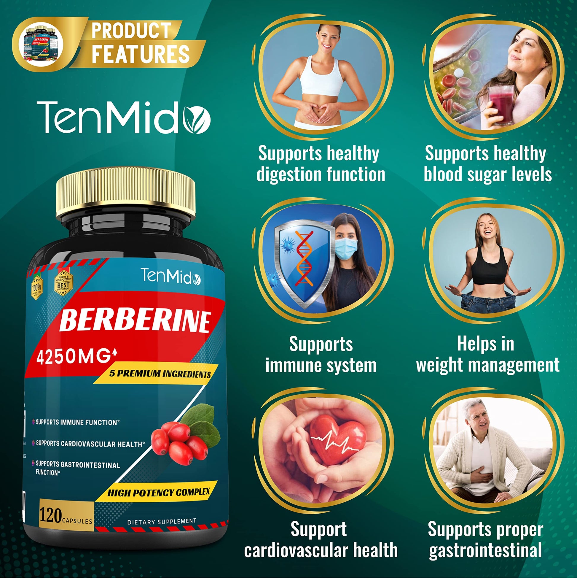 Berberine Extract Capsules 4250mg, 4 Months Supply & Ceylon, Milk Thistle, Turmeric Tenmido uk supplements
