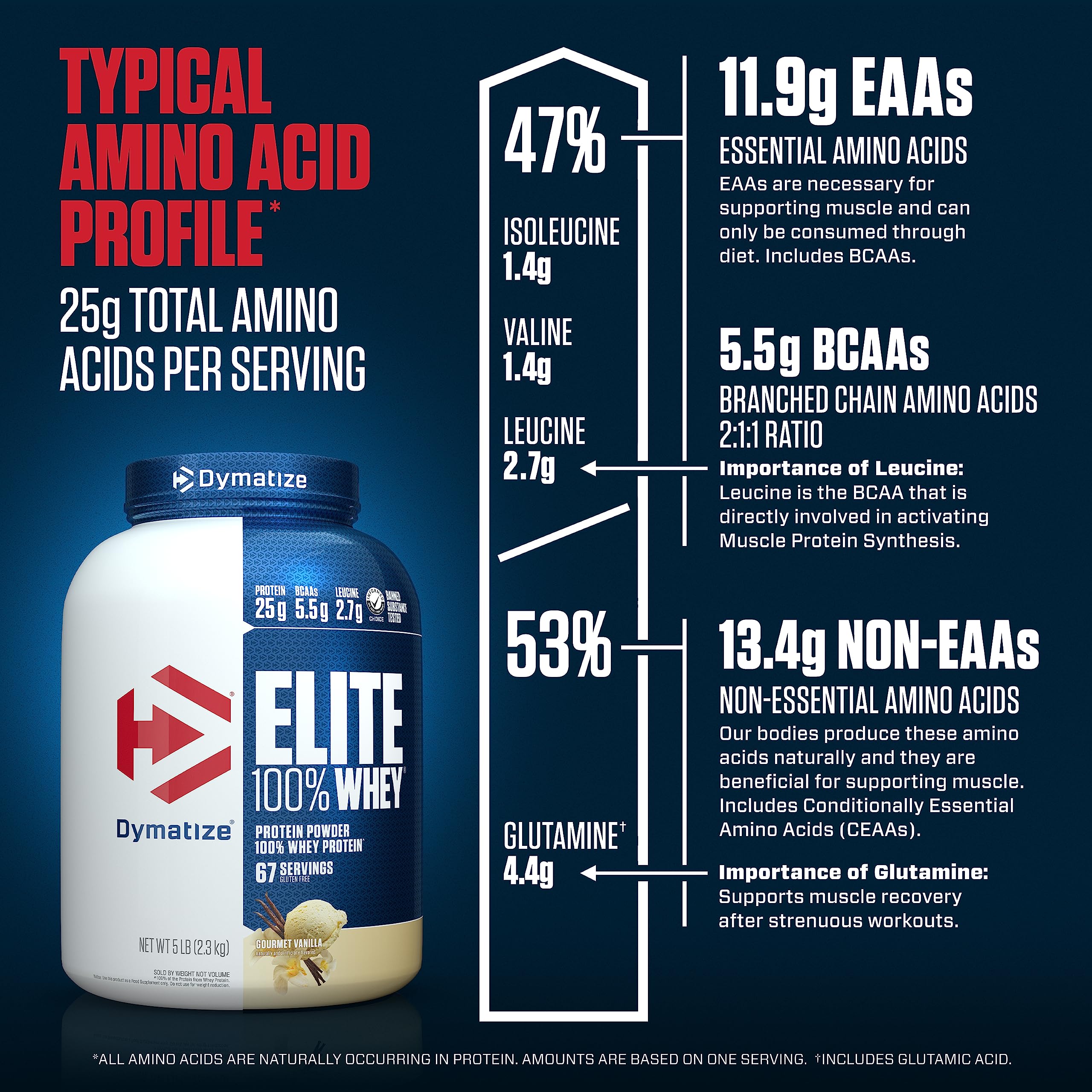Dymatize Elite 100% Whey Protein Powder, 25g Protein, 5.5g BCAAs & 2.7g L-Leucine Dymatize uk supplements