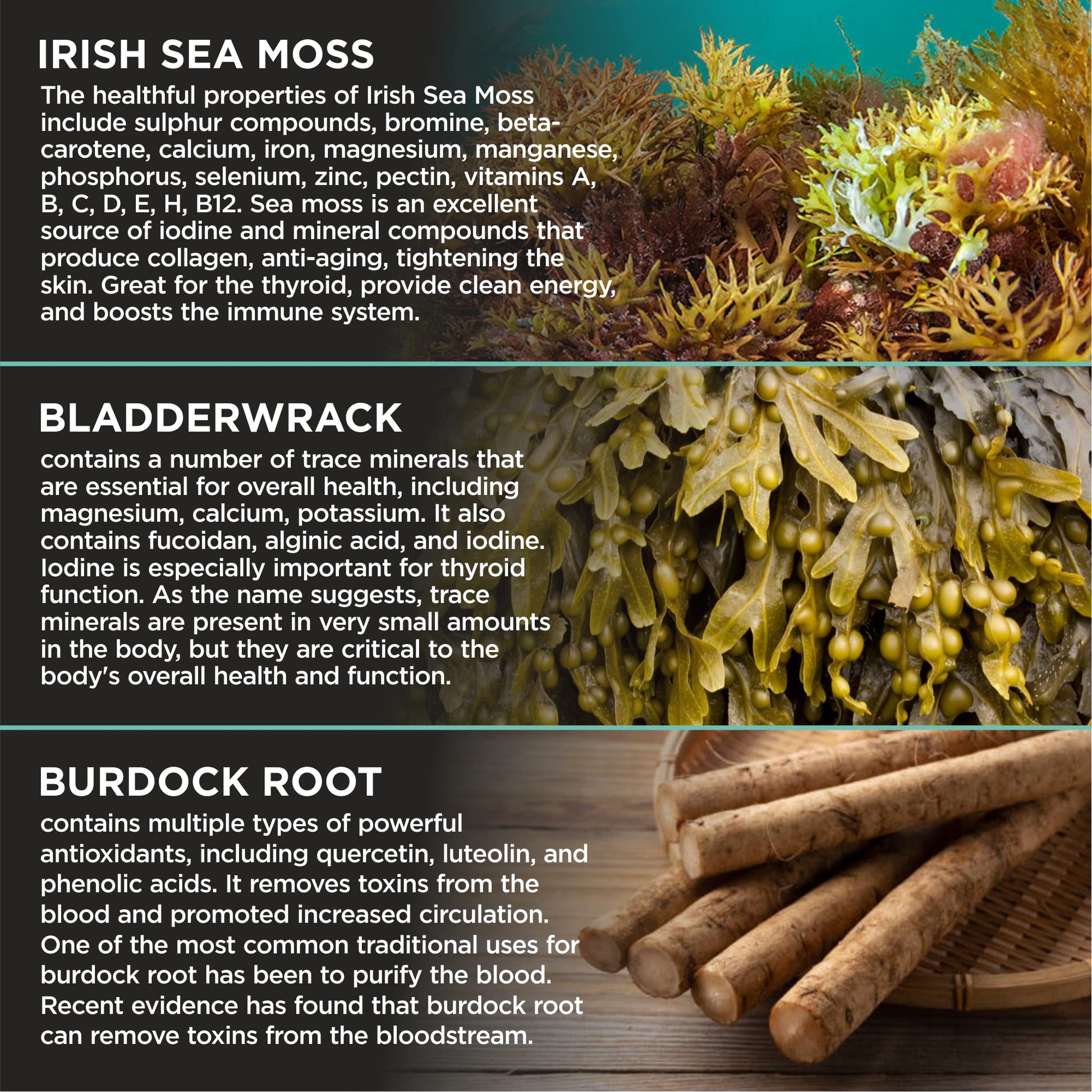 HerbaMe Organic Irish Sea Moss with Bladderwrack, Burdock Root & Black Pepper Extract HerbaMe uk supplements