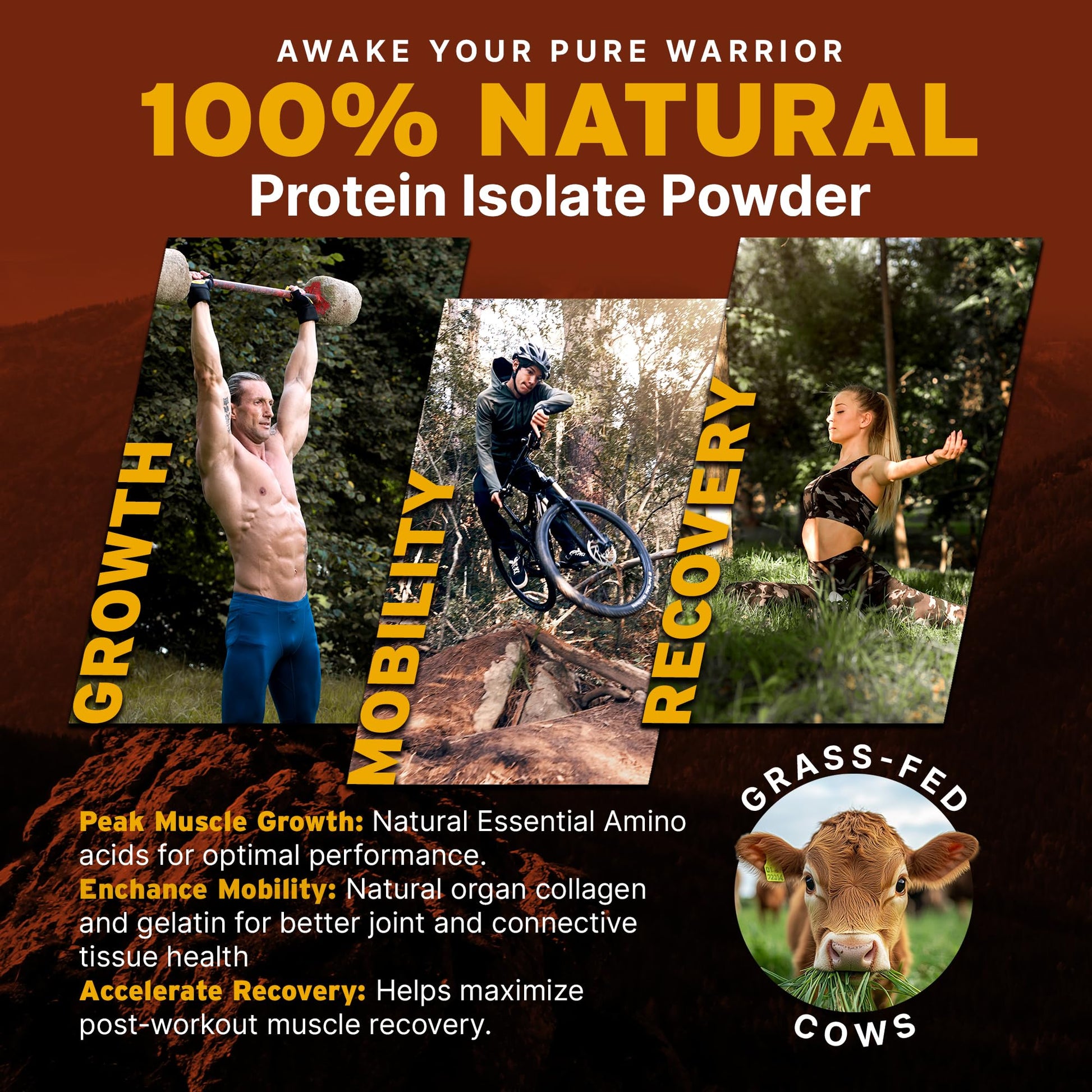 Paleo Pro 26G Beef Protein Powder - Grass Fed Protein Powder Isolate - Pure Animal Based Pastured & Cage-Free | Dairy & Gluten Free, Natural & Clean Proteins for Paleo & Keto - 15 Days Supply Vanilla Paleo Pro uk supplements