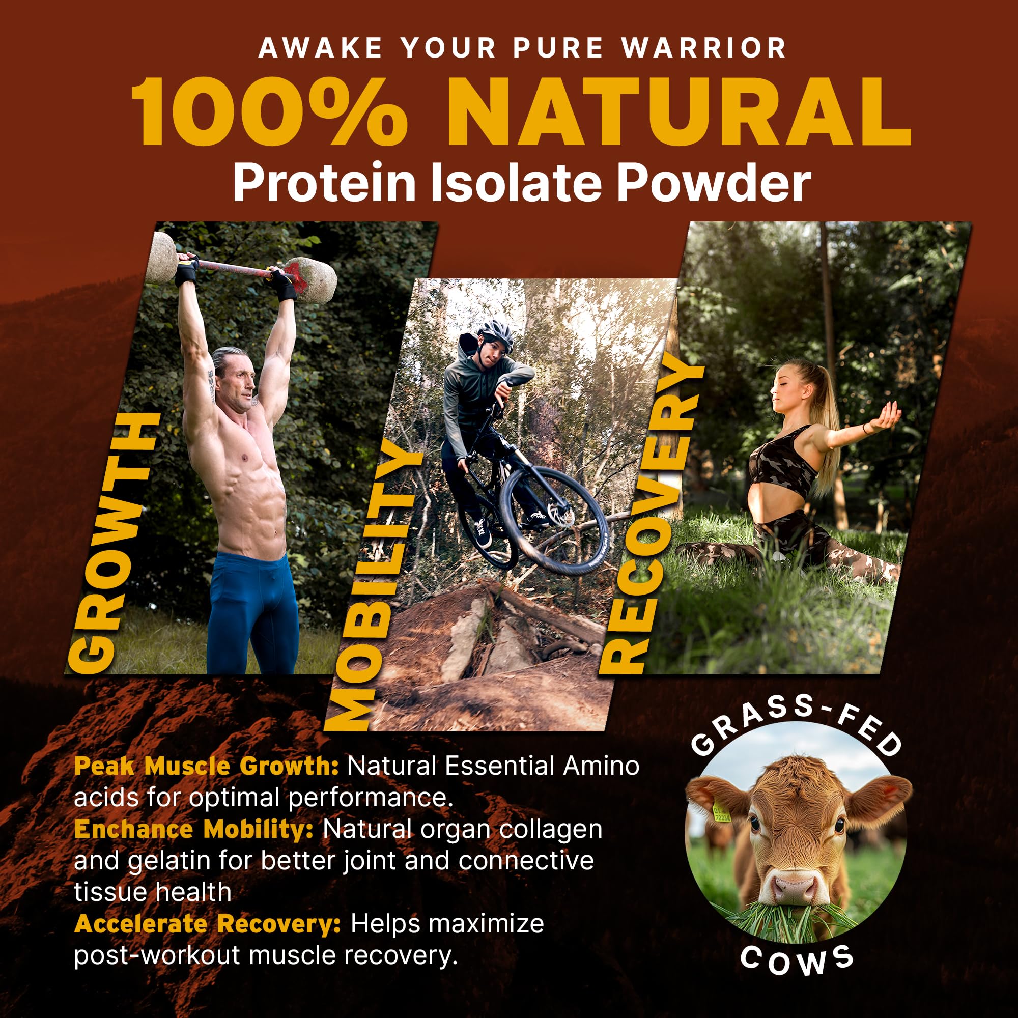 Paleo Pro 26G Beef Protein Powder - Grass Fed Protein Powder Isolate - Pure Animal Based Pastured & Cage-Free | Dairy & Gluten Free, Natural & Clean Proteins for Paleo & Keto - 15 Days Supply Vanilla Paleo Pro uk supplements