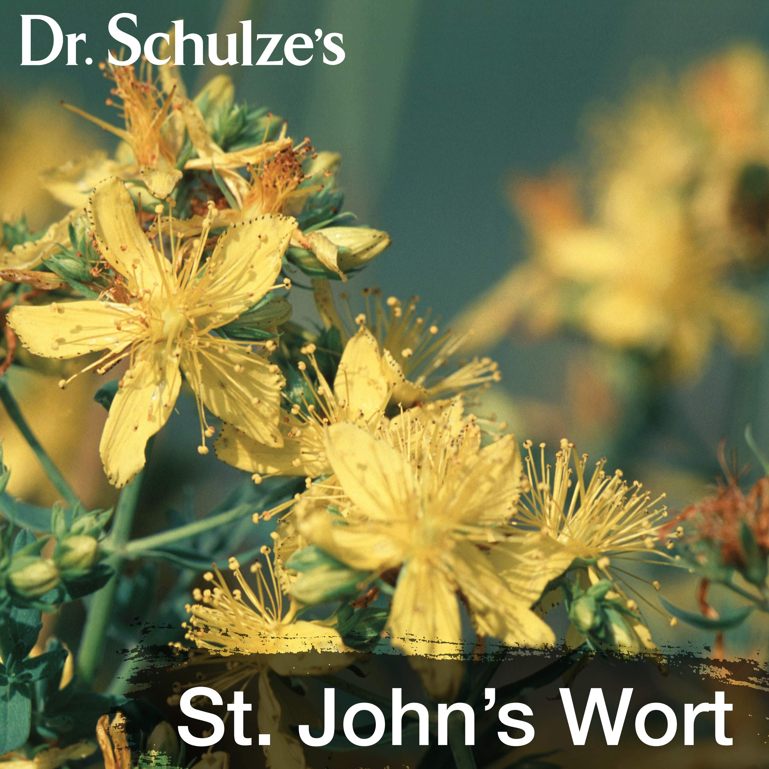 Dr. Schulze's Deep Tissue Oil | Powerful Herbal Support for Muscles, Tendons and Joints Dr. Schulze's uk supplements