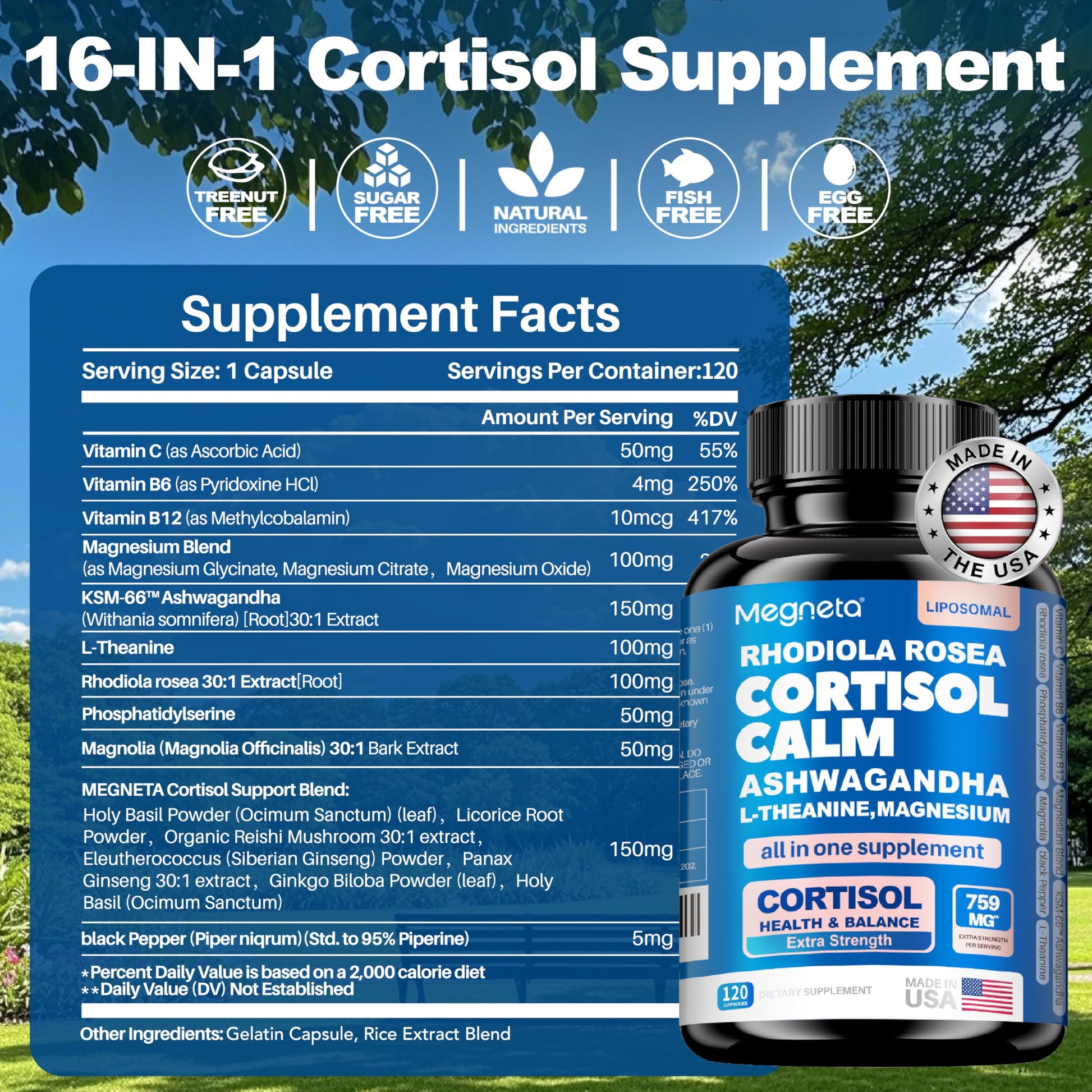 Cortisol Balance & Sleep Support for Women & Men – Natural Calm Formula with Magnesium, Ashwagandha & L-Theanine – Supports Restful Sleep, Relaxation, Focus & Healthy Cortisol Levels – 120 Capsules MEGNETA uk supplements