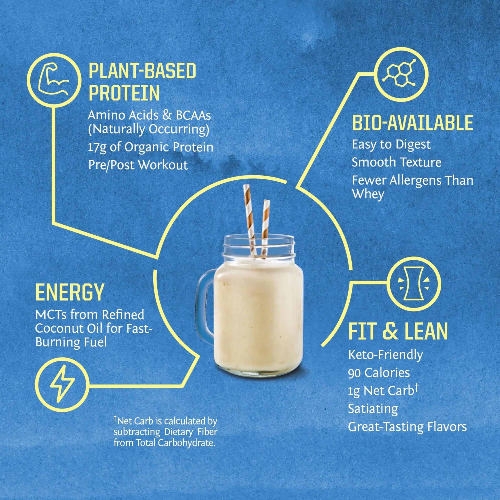 Sunwarrior Vegan Protein Powder Organic Plant-Based Protein | BCAA Amino Acids Hemp Seed Plant Protein | Soy Free Dairy Free Gluten Free Synthetic Free Non-GMO Sunwarrior uk supplements