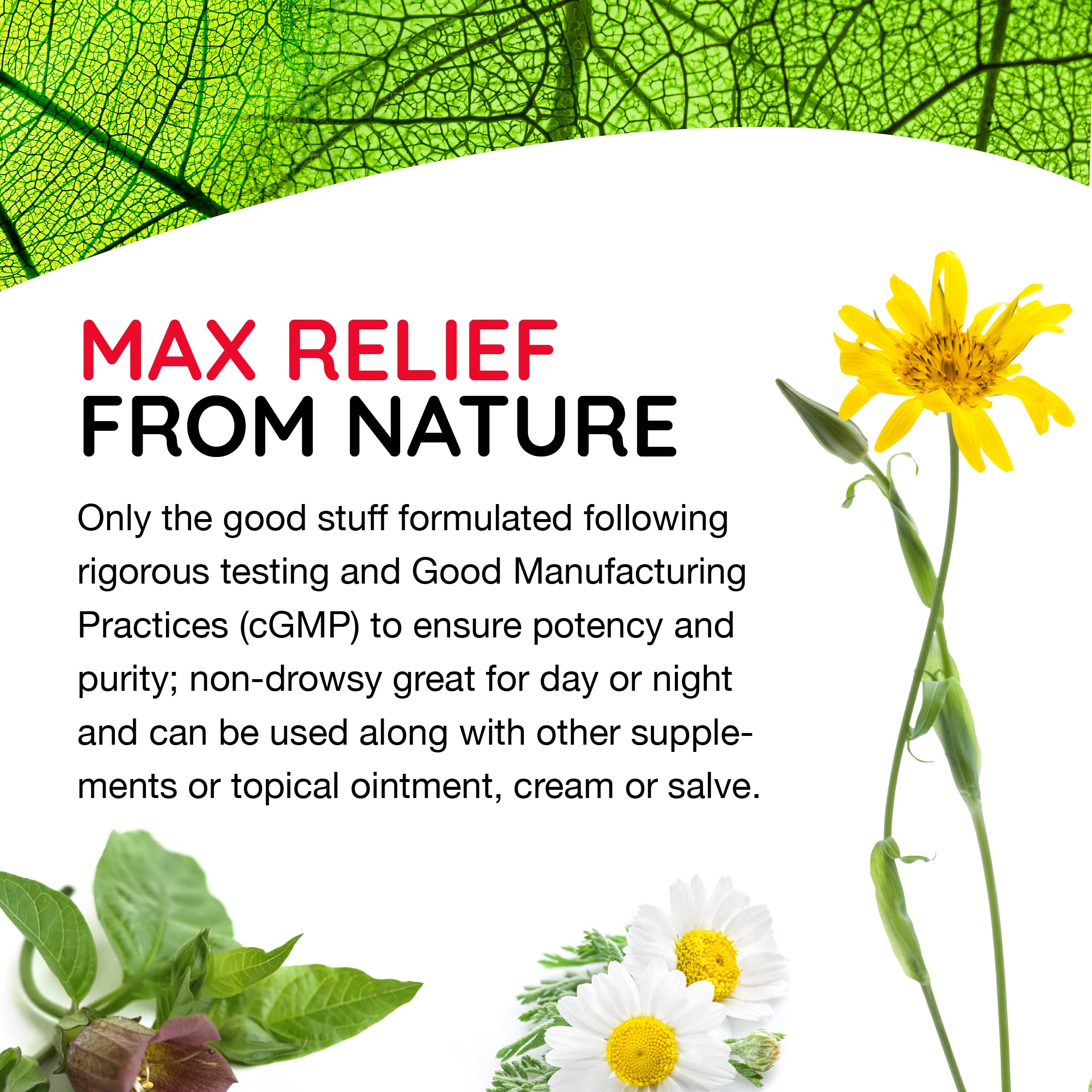 MediNatura T-Relief Extra Strength Oral Drops Arnica +12 Fast-Acting Natural Relieving Actives for Back Neck Joint Muscle Hand & Foot Aches Pains & Soreness - 1.69 oz MediNatura uk supplements