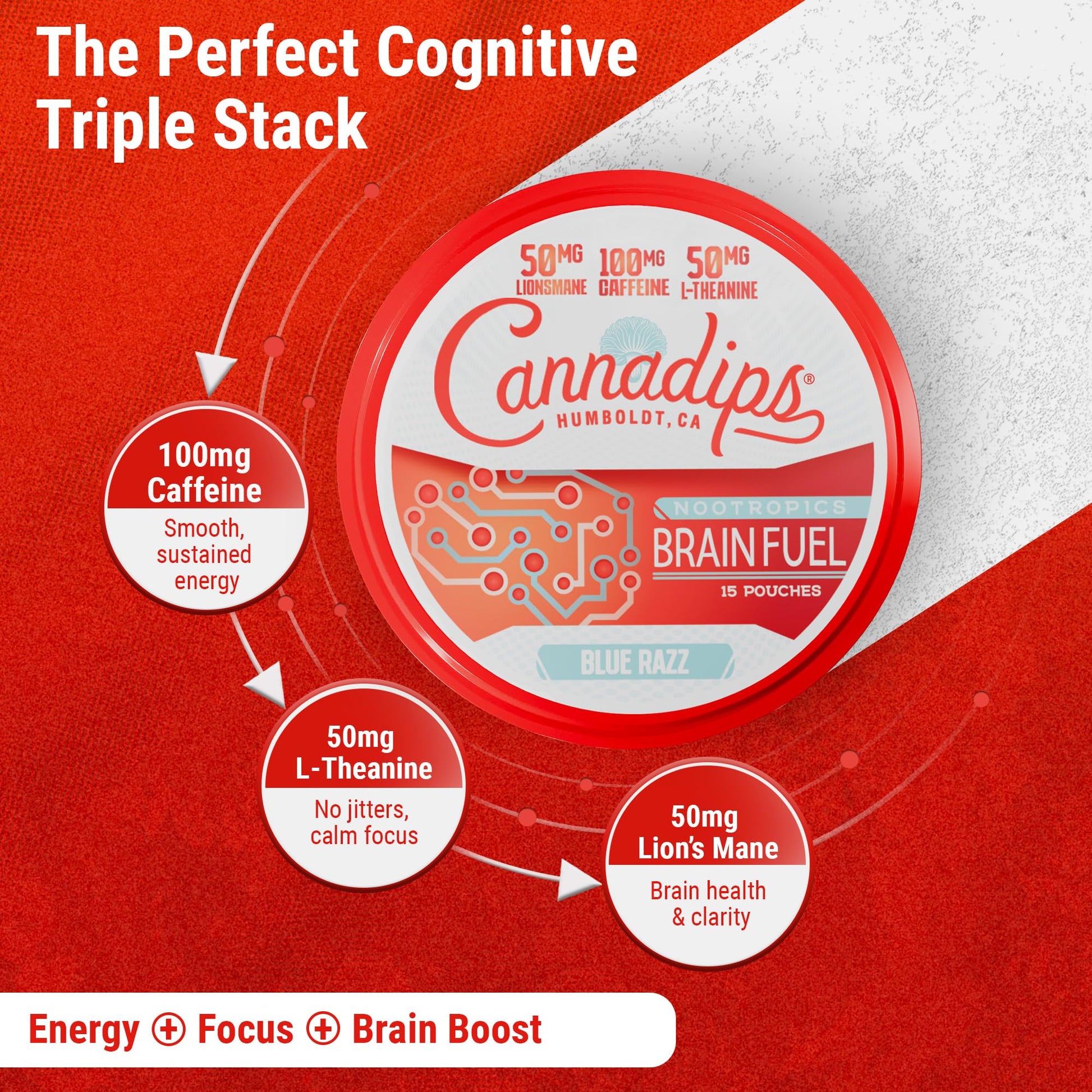 Cannadips - Brain Fuel Variety Pack - Nootropic Caffeine Pouches - 50mg Lion's Mane, 100mg Caffeine, 50mg L-Theanine, No Sugar - Clean Energy Brain Fuel for Cognitive Performance, Made in USA (5-PACK) Cannadips uk supplements