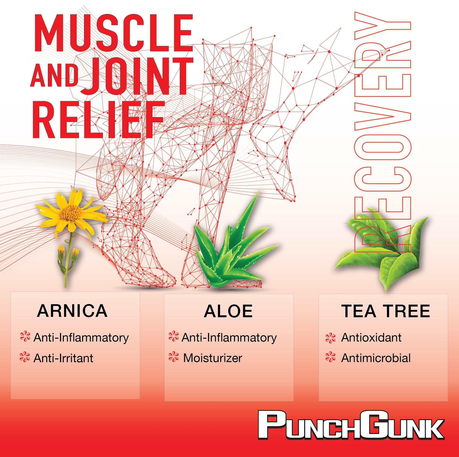 PunchGunk Muscle and Joint Relief Cream for Sore Muscles and Joints, Non Greasy, Naturally Advanced Lotion with Arnica, Aloe & Tea Tree 3.0oz PUNCHGUNK uk supplements