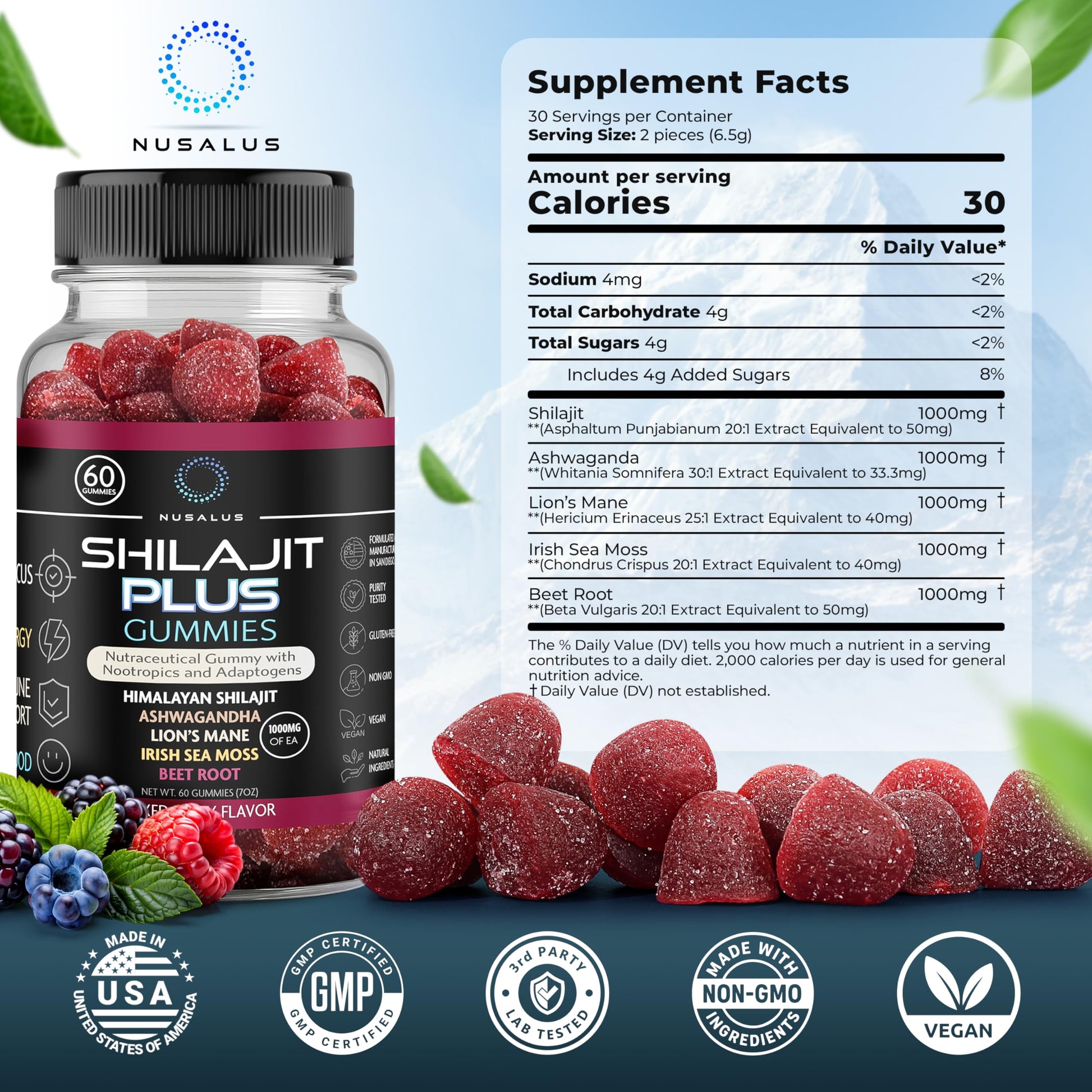 Nusalus Shilajit Plus Gummies – 5-in-1 Adaptogen Energy & Focus Supplement | Shilajit, Ashwagandha, Lion’s Mane, Sea Moss & Beet Root | Natural Energy & Stress Support | Made in USA, Vegan, 60ct Nusalus uk supplements