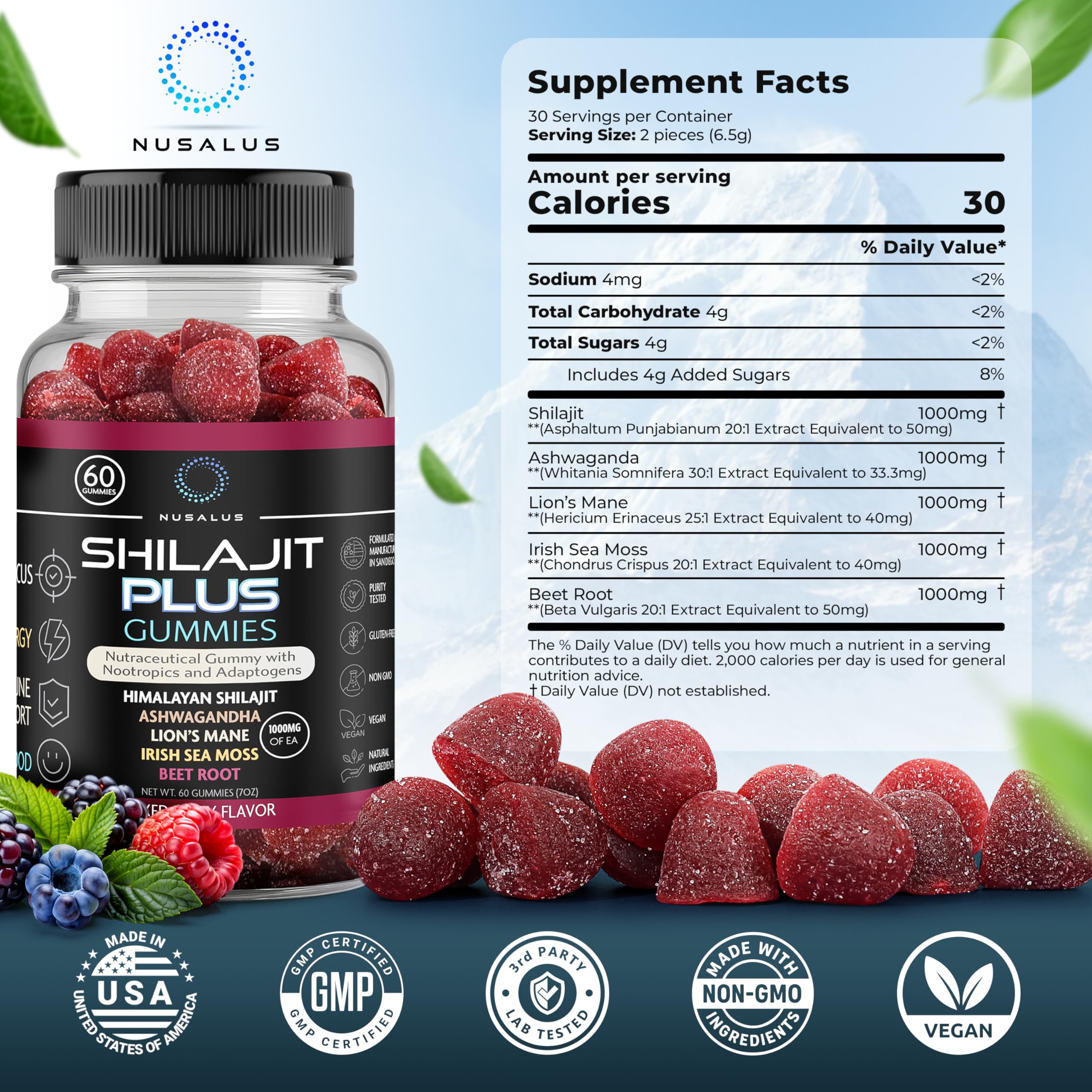 Nusalus Shilajit Plus Gummies – 5-in-1 Adaptogen Energy & Focus Supplement | Shilajit, Ashwagandha, Lion’s Mane, Sea Moss & Beet Root | Natural Energy & Stress Support | Made in USA, Vegan, 60ct Nusalus uk supplements