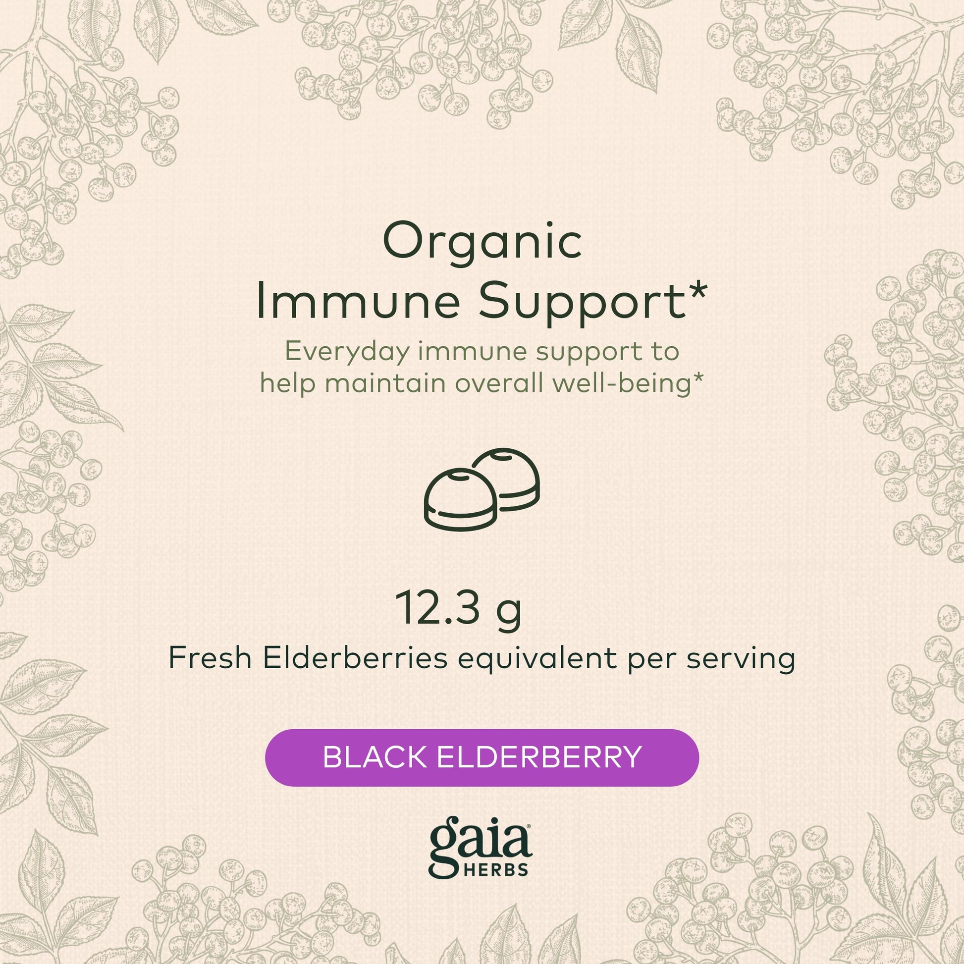 Gaia Herbs Black Elderberry (Sambucus Nigra) Extra Strength Gummies Gaia Herbs uk supplements