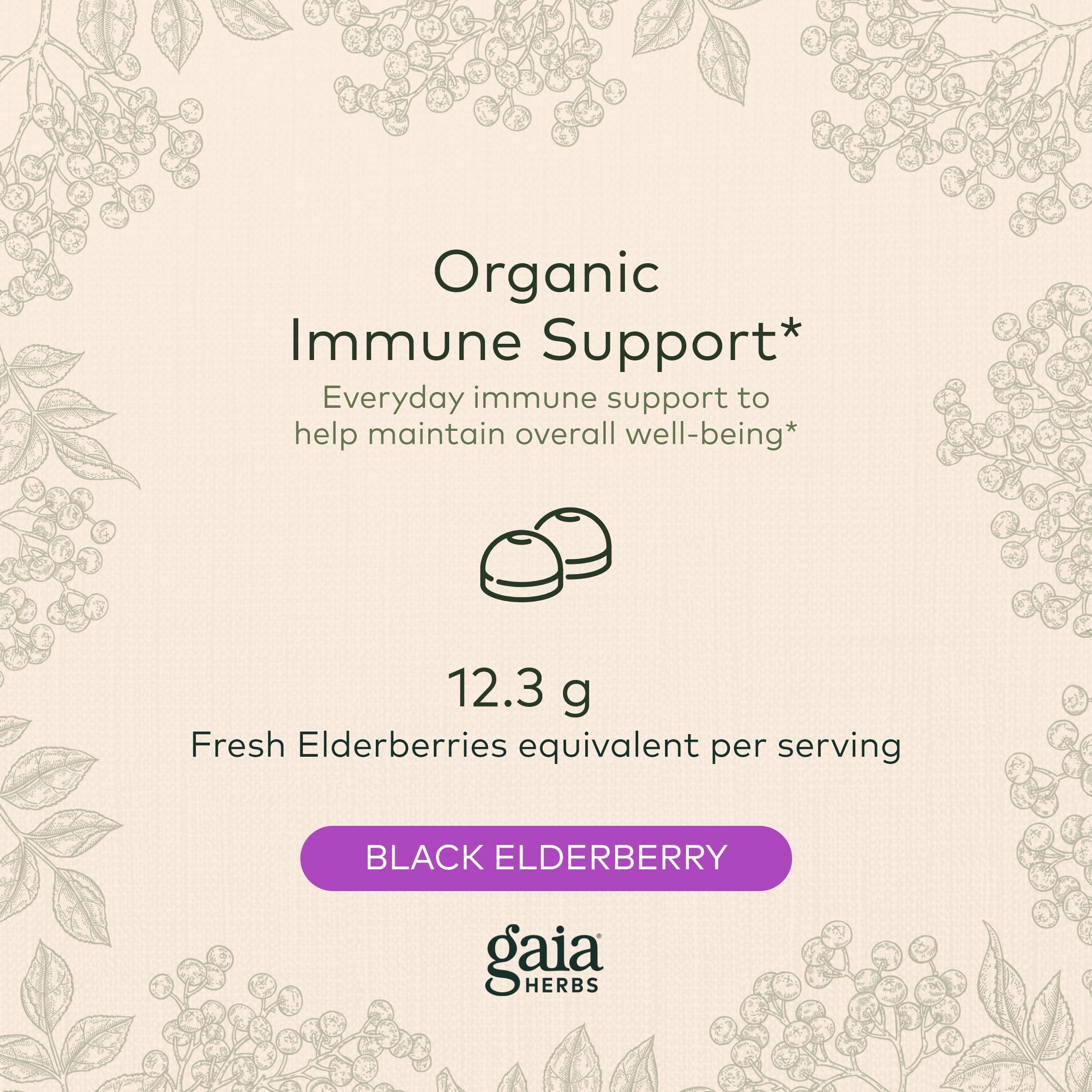 Gaia Herbs Black Elderberry (Sambucus Nigra) Extra Strength Gummies Gaia Herbs uk supplements