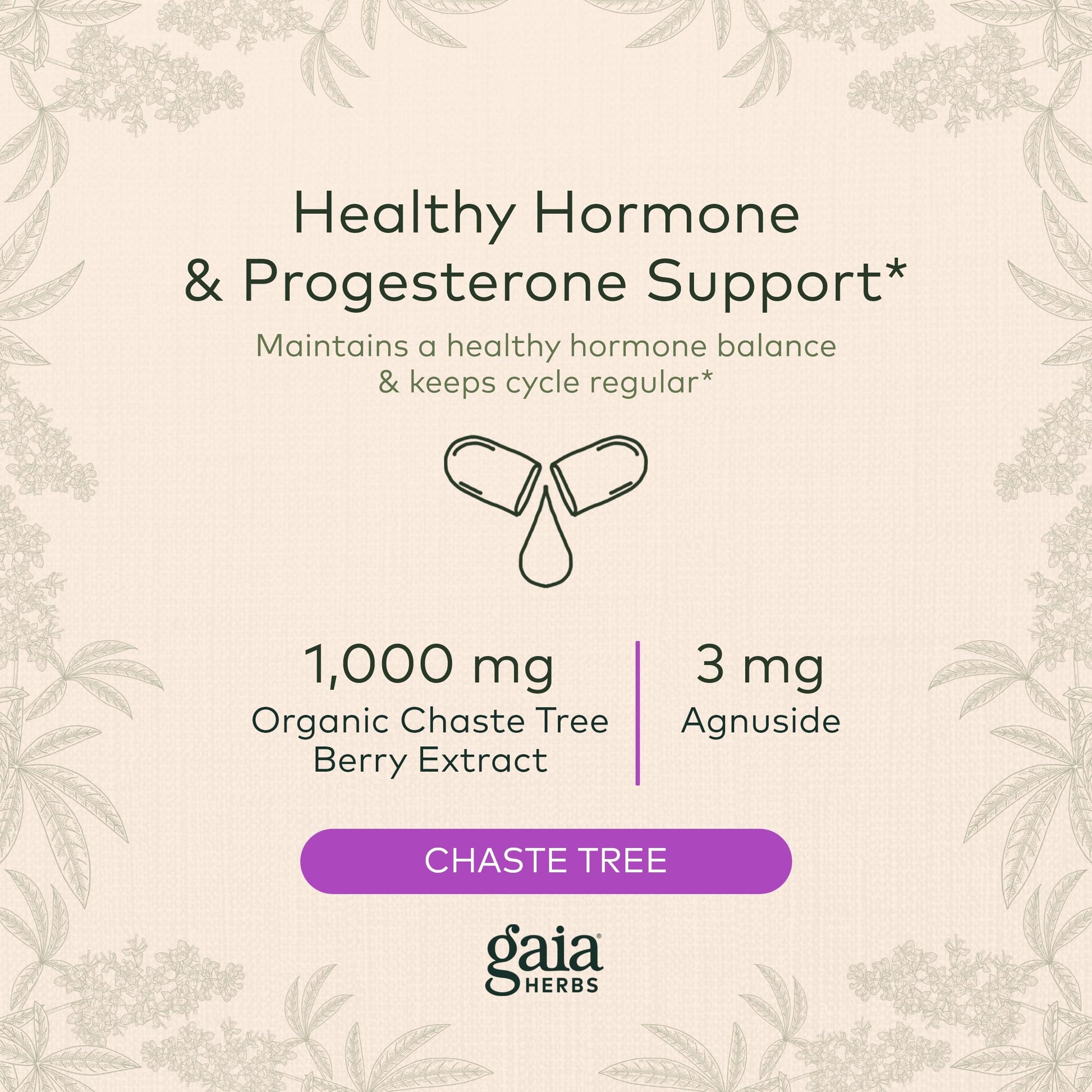 Gaia Herbs Vitex Berry (Chaste Tree) - Supports Hormone Balance & Fertility Gaia Herbs uk supplements