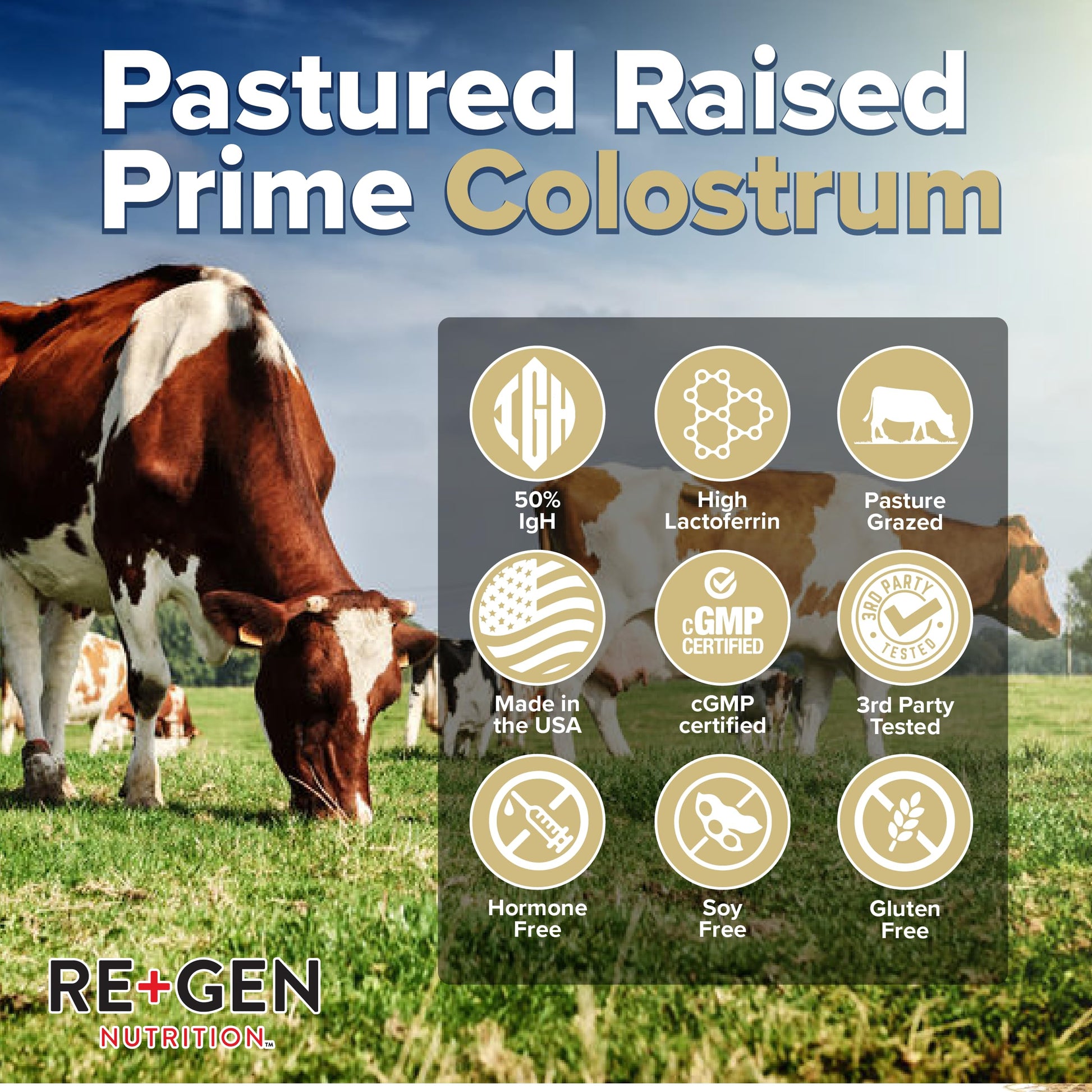 Re+Gen Nutrition Colostrum Gold 50 Bovine Colostrum Powder for Gut Health, Immune Support & Muscle Recovery – 50% IgG Concentration, Grass Fed, Gluten Free, No Artificial Ingredients Re+Gen Nutrition uk supplements