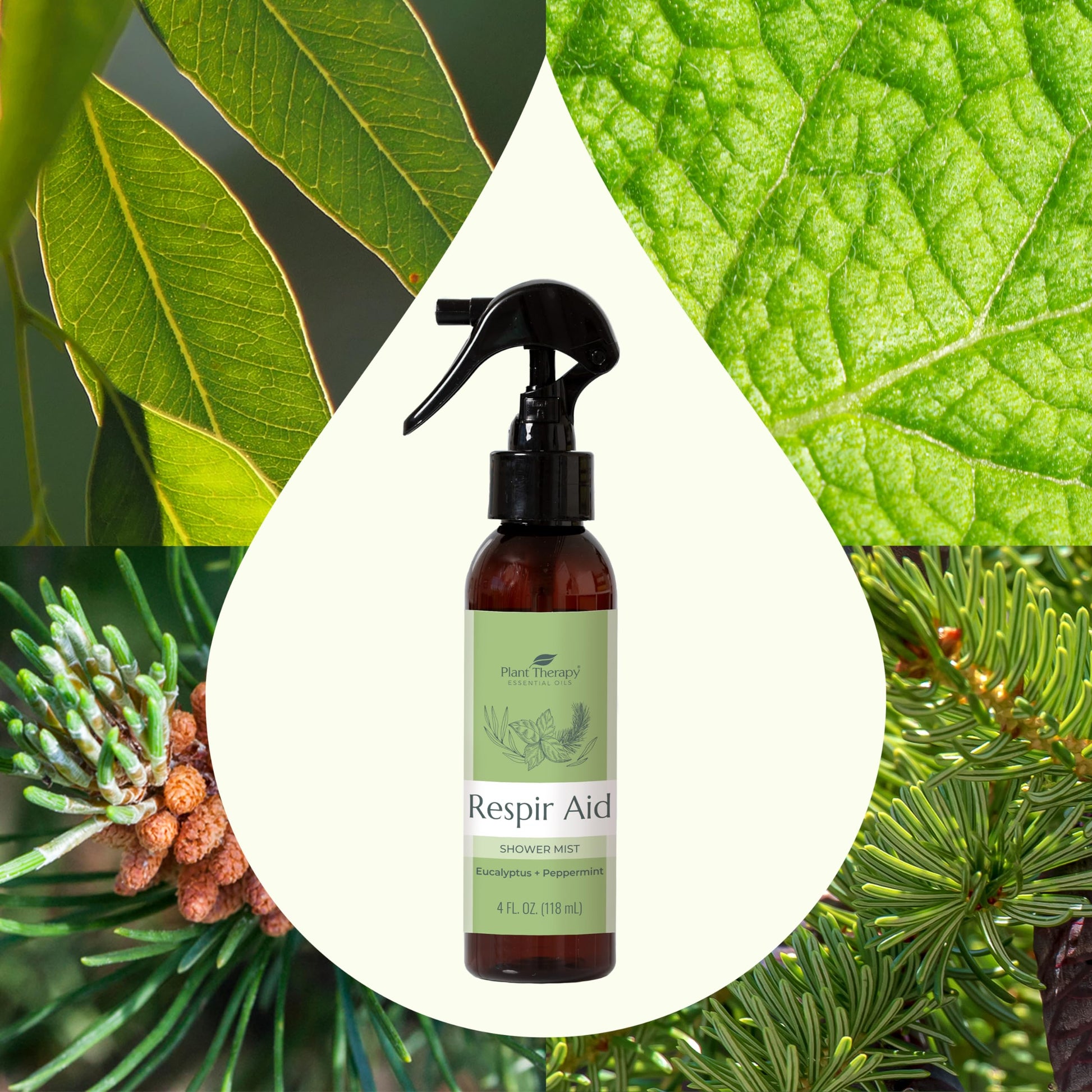 Plant Therapy Respir Aid Shower Mist 4 oz Refreshing & Crisp Aroma, Great to Help Clear Congestion Plant Therapy uk supplements