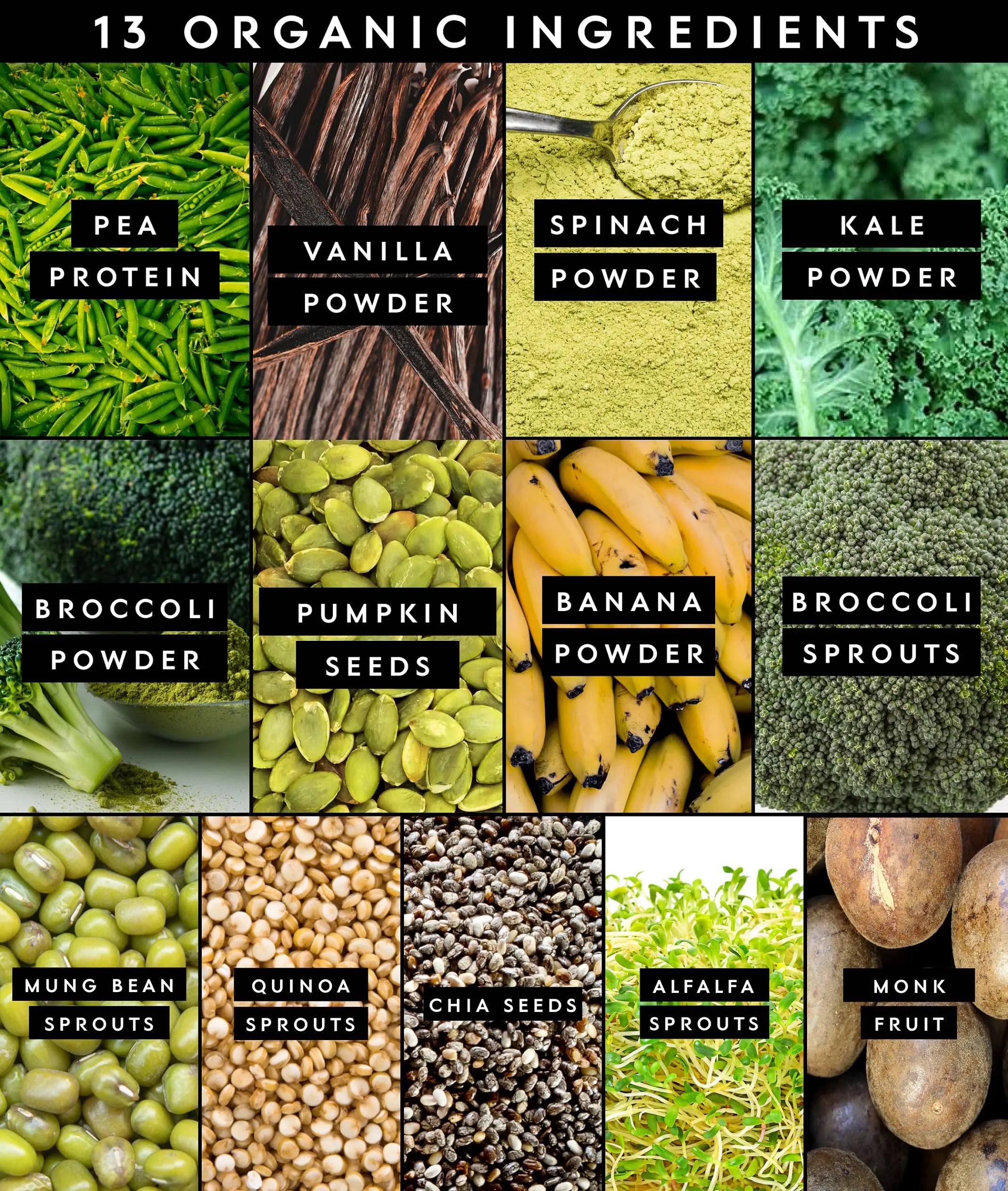 Truvani Protein + Greens Supplement | Spinach, Kale & Broccoli | 10g Organic Plant Based Protein | 20 Servings | USDA Organic | Gluten & Dairy Free Truvani uk supplements