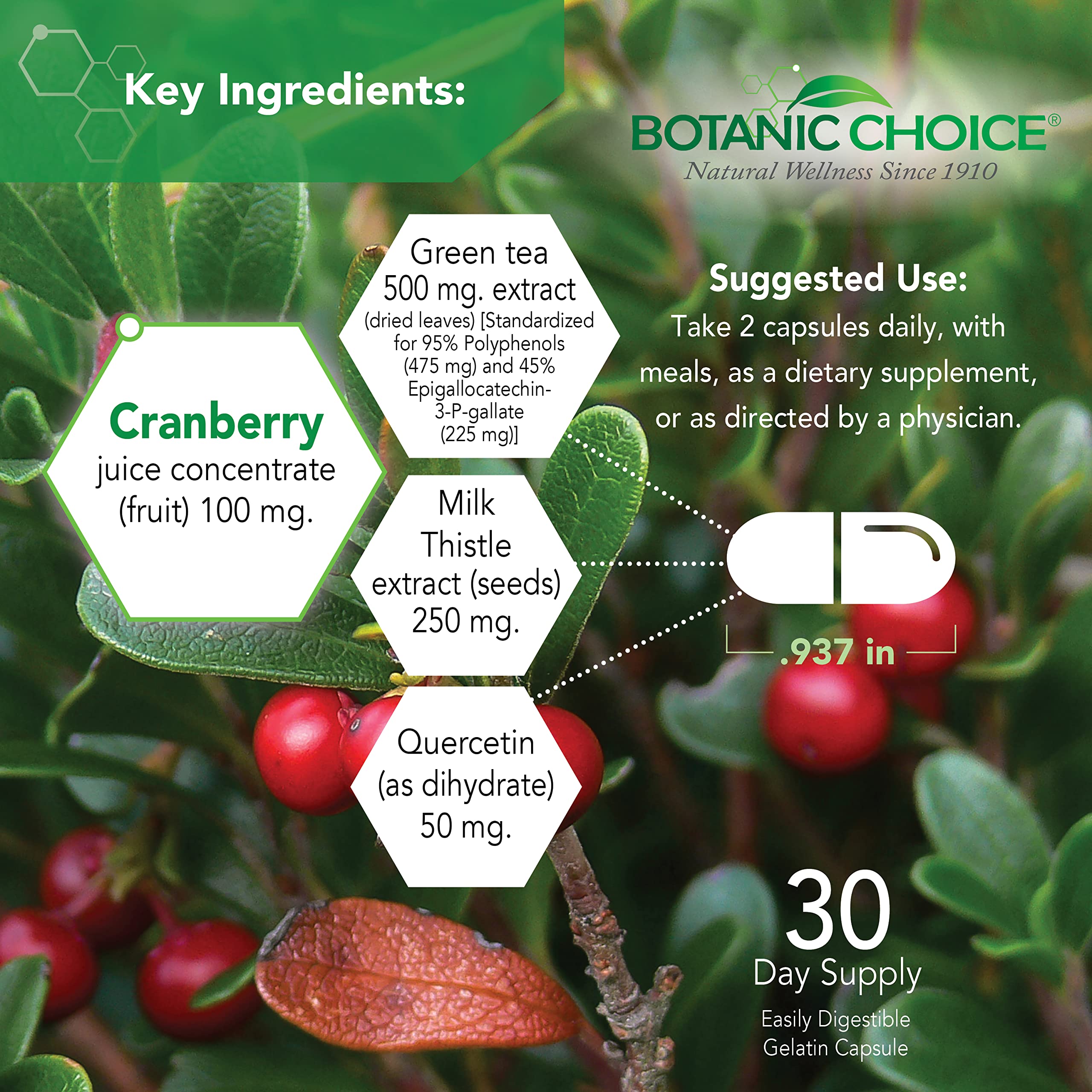 Botanic Choice Ultra Kidney Complex - Optimal Kidney Support with Milk Thistle, Green Tea & More- 60 Capsules Botanic Choice uk supplements