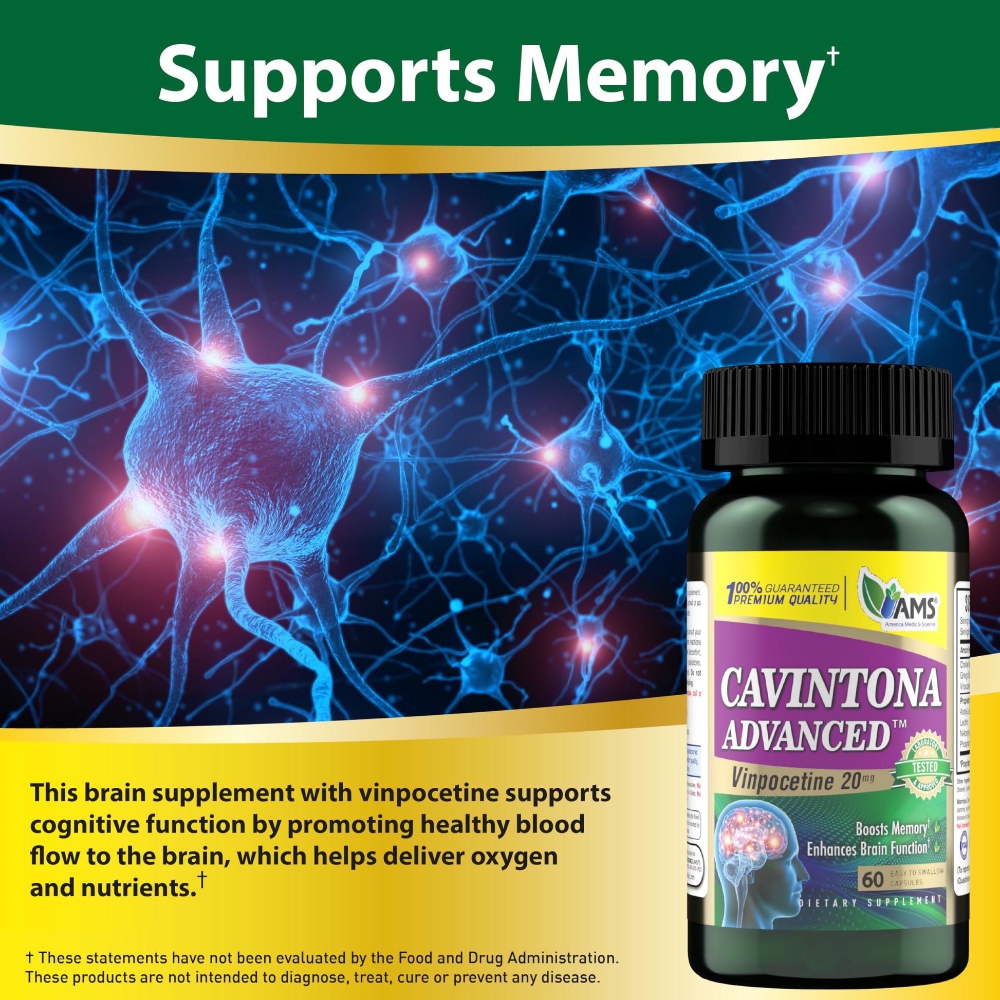 America Medic & Science Cavintona Advanced Supplement – Vinpocetine 20mg for Memory, Recall & Brain Health – Supports Cognitive Function, Focus, Mental Clarity & Blood Flow – 60 Capsules America Medic & Science uk supplements