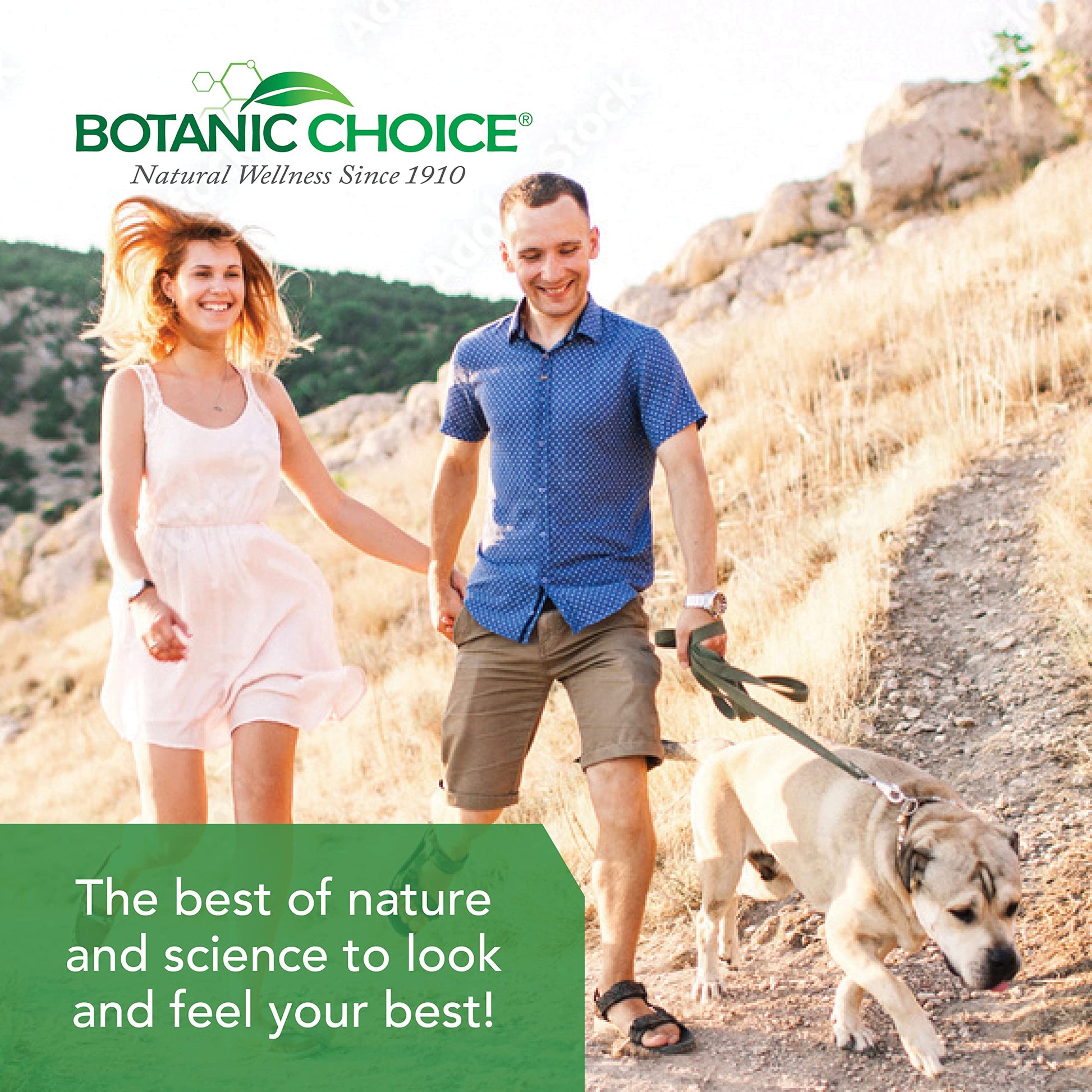 Botanic Choice Ultra Kidney Complex - Optimal Kidney Support with Milk Thistle, Green Tea & More- 60 Capsules Botanic Choice uk supplements