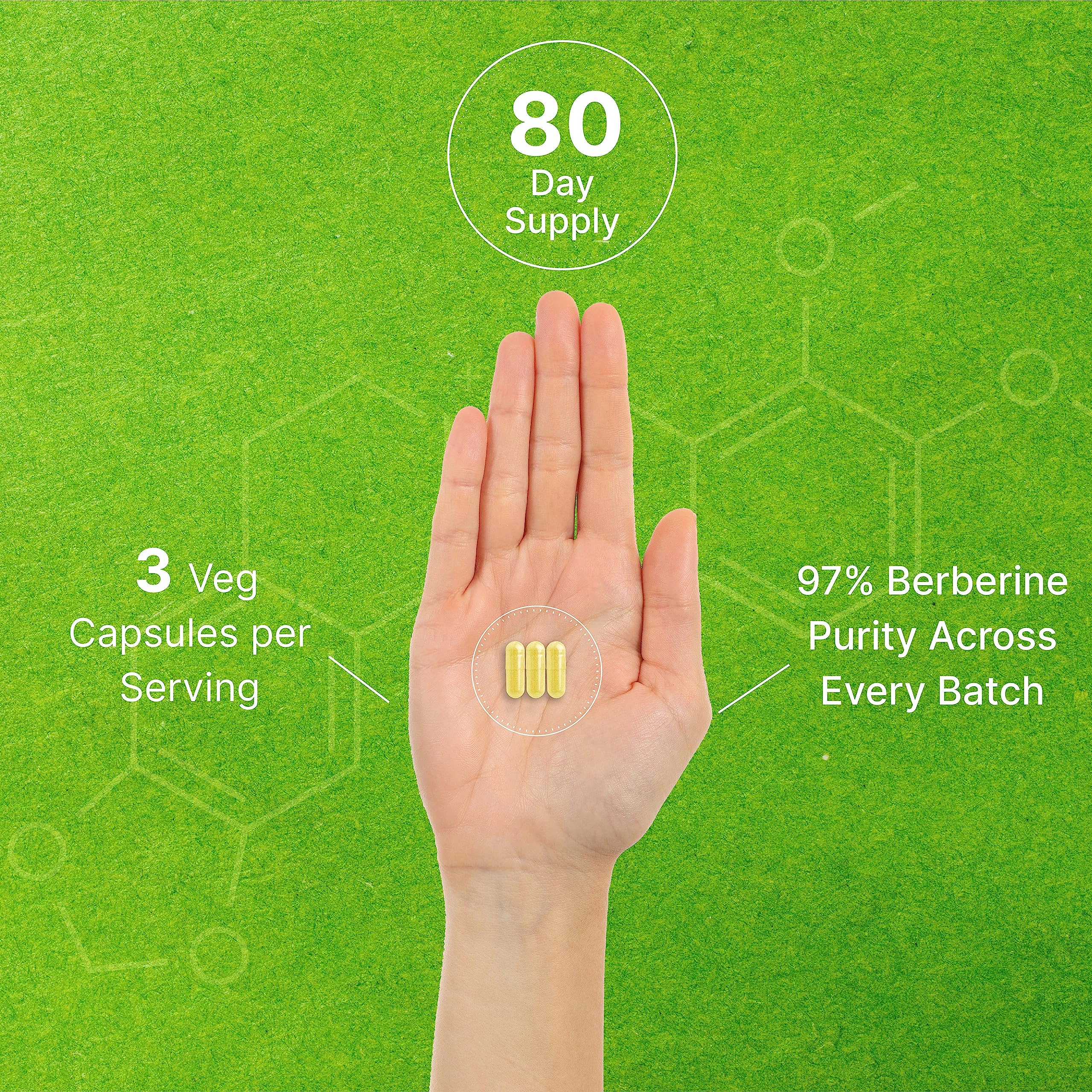 Berberine Supplement 500mg Per Capsule (1500mg Per Serving) | 240 Veggie Capsules DEAL SUPPLEMENT uk supplements