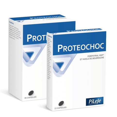 PROTEOCHOC capsules - PILEJE PILEJE uk supplements