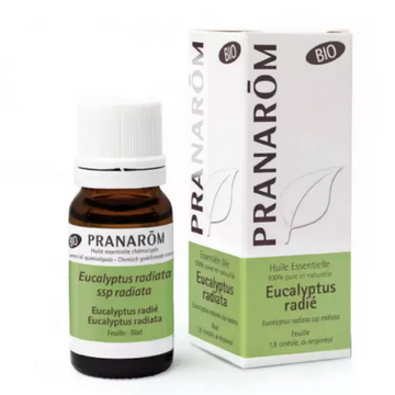 Huile essentielle Eucalyptus radié BIO 10 ml PRANAROM
