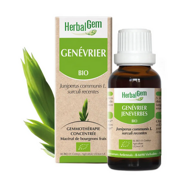 Genevrier BIO Macerat mère bourgeons Flacon 30 ml HERBALGEM