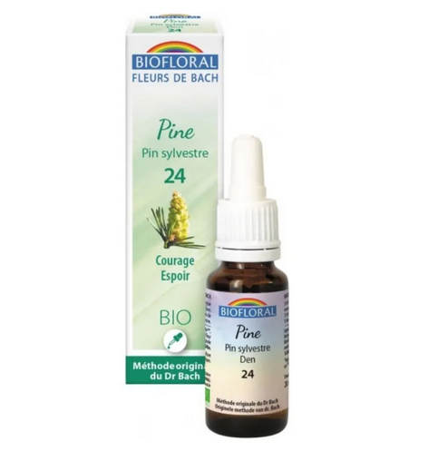 Fleur de Bach BIO Pine (Pin sylvestre) Flacon 20 ml BIOFLORAL